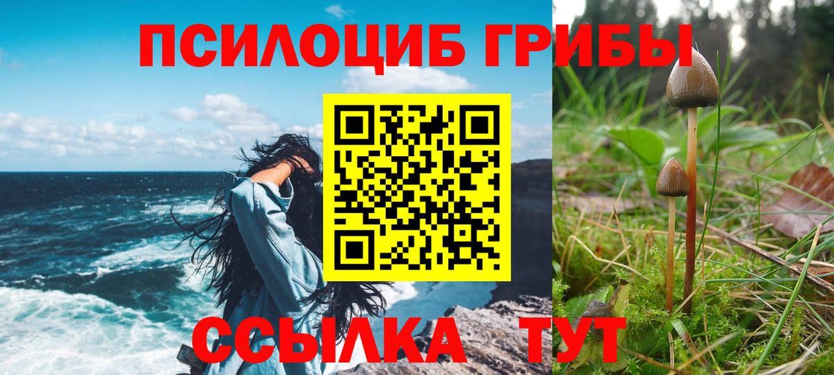 Великий Устюг  Псилоцибиновые грибы Psilocybine cubensis  Вход с VPN  Псилоцибиновые грибы MAGIC MUSHROOMS 