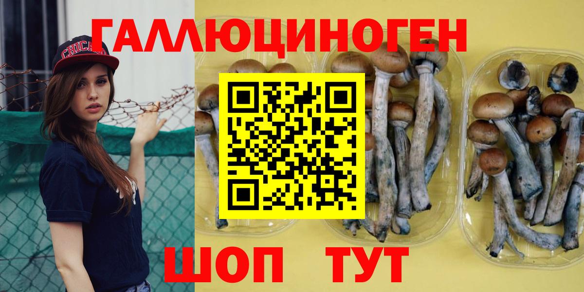 Псилоцибиновые грибы MAGIC MUSHROOMS Великий Устюг